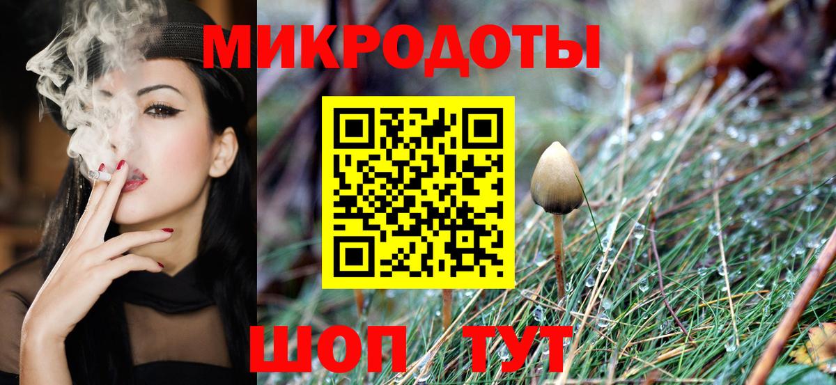 Псилоцибиновые грибы GOLDEN TEACHER Можайск