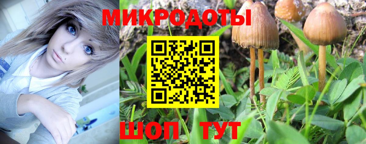 Галлюциногенные грибы Cubensis  купить наркотик  Можайск  Вход с VPN 